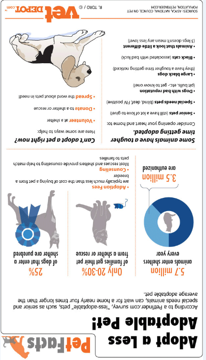 less adoptable pet.png